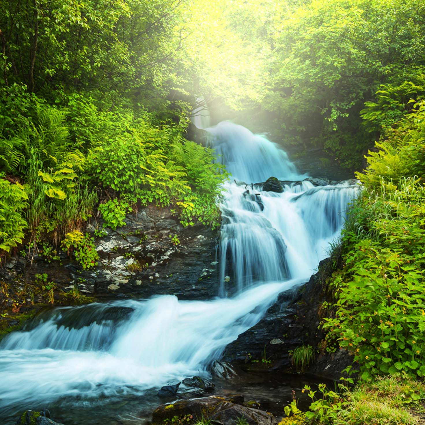 Waterfall flowing down a forest with green leaves